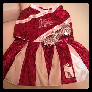 Halloween dog costume